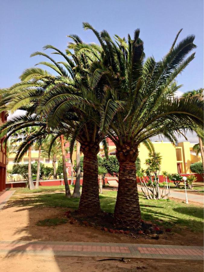 Apartamento Pax Et Bonum Parque Holandes Exterior foto